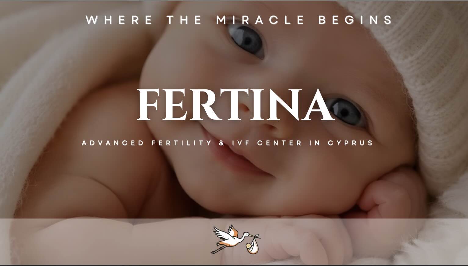 Fertina IVF Clinic Brochure Preview