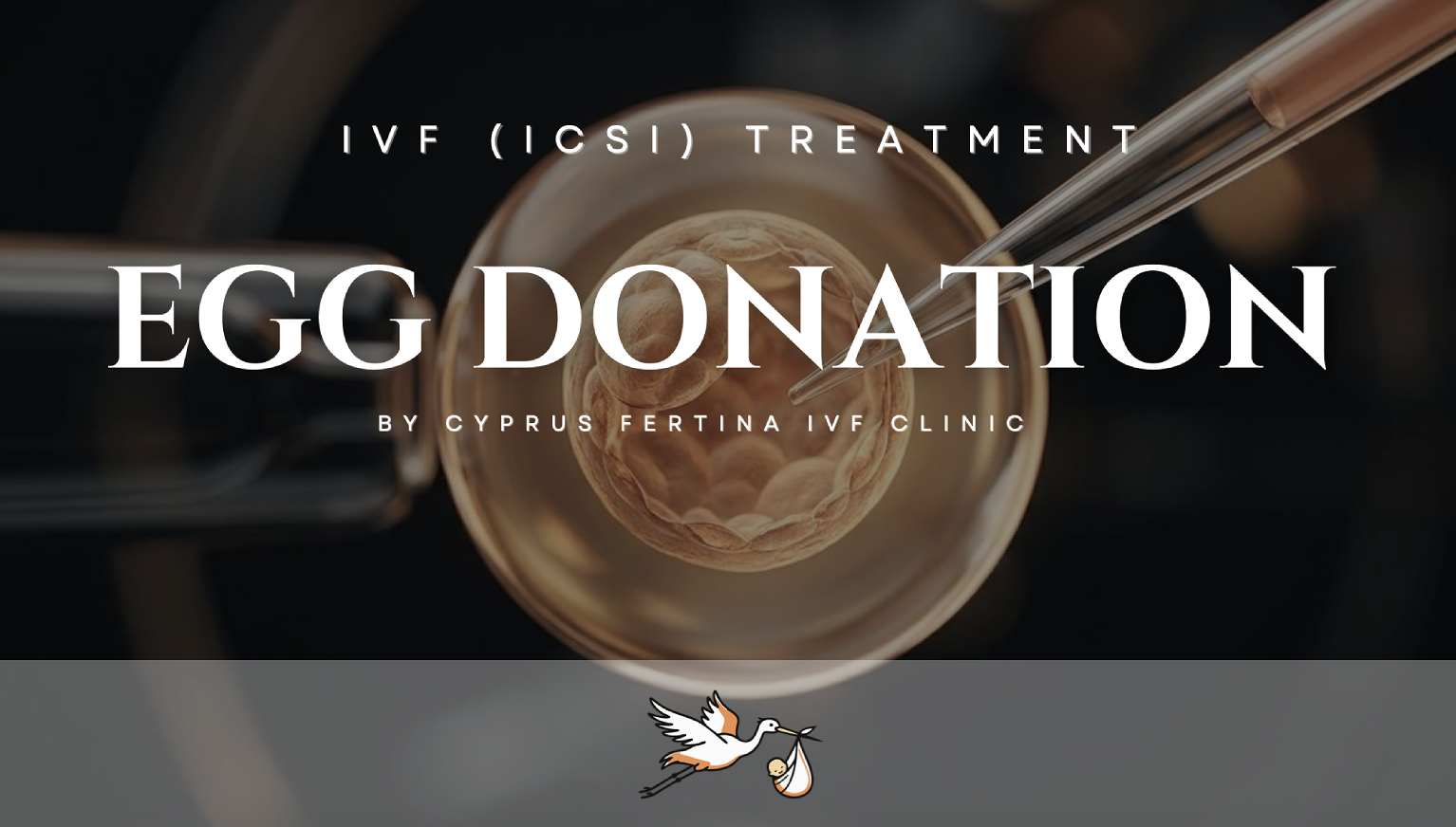 Egg Donation Brochure